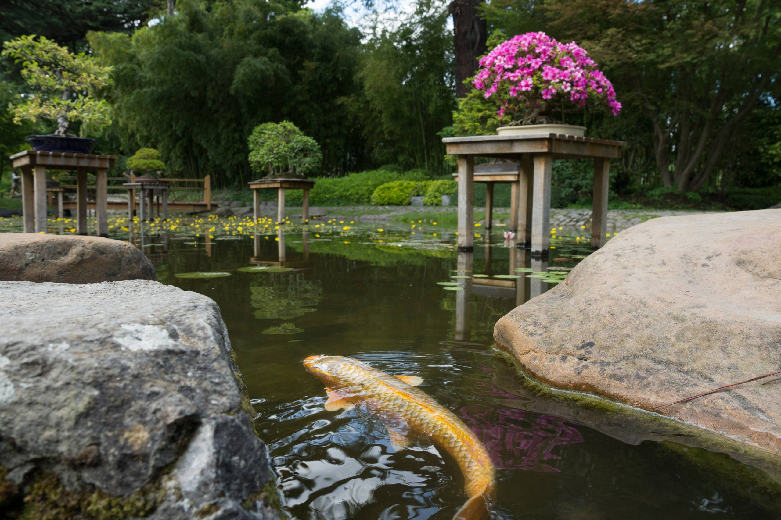 Jardins Albert Kahn